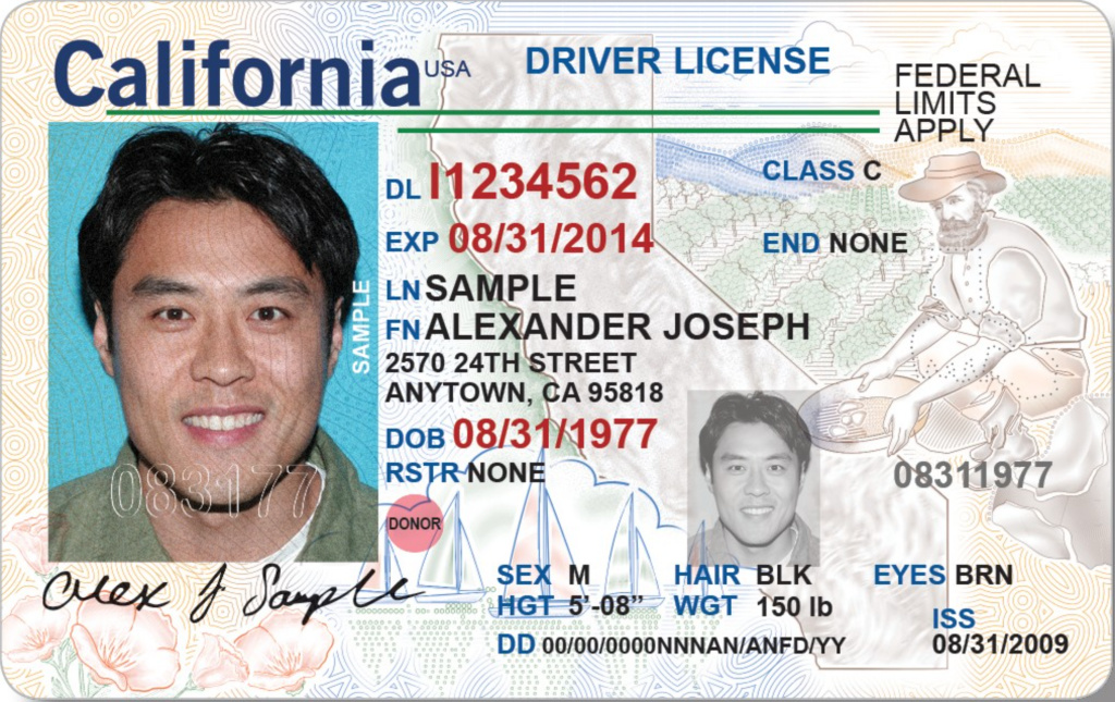 driver identifier online